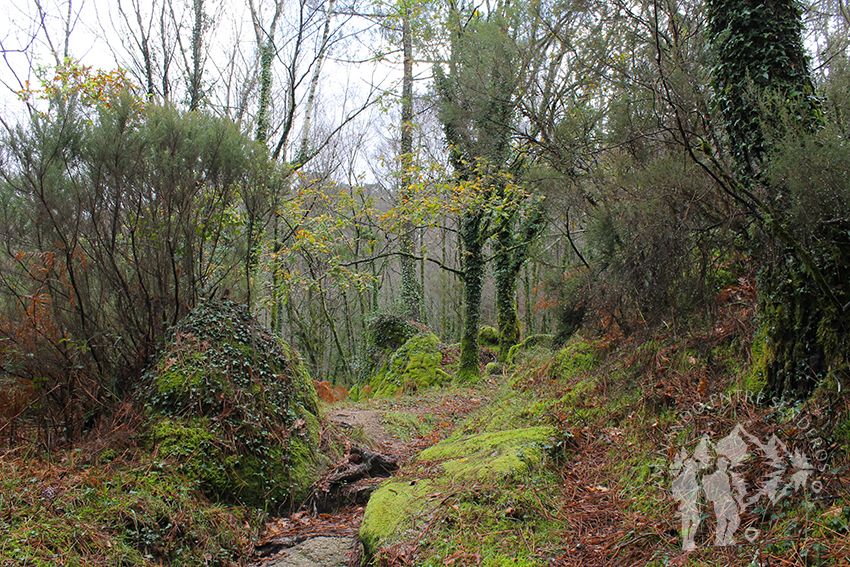 Camino Mirador Pedra Bela