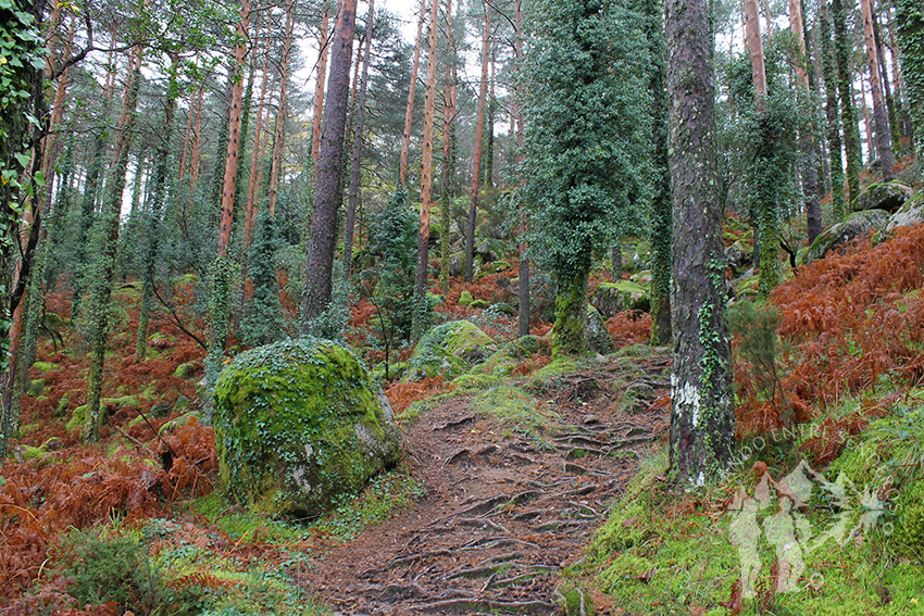 Camino Mirador Pedra Bela