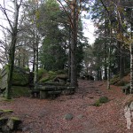 Bosque Mirador Pedra Bela