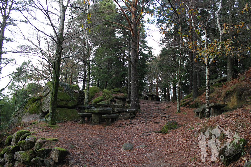 Bosque Mirador Pedra Bela