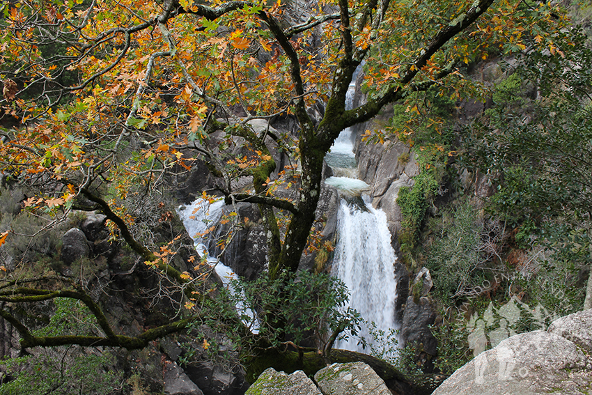 Cascada do Arado