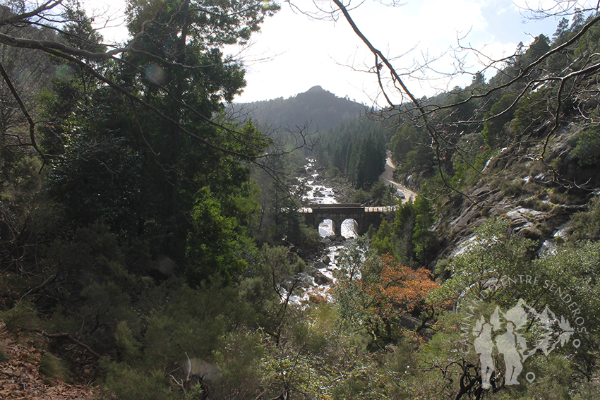 Puente Río Arado