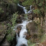 Ribeiro do Pontido