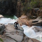 Catarata Río Homen