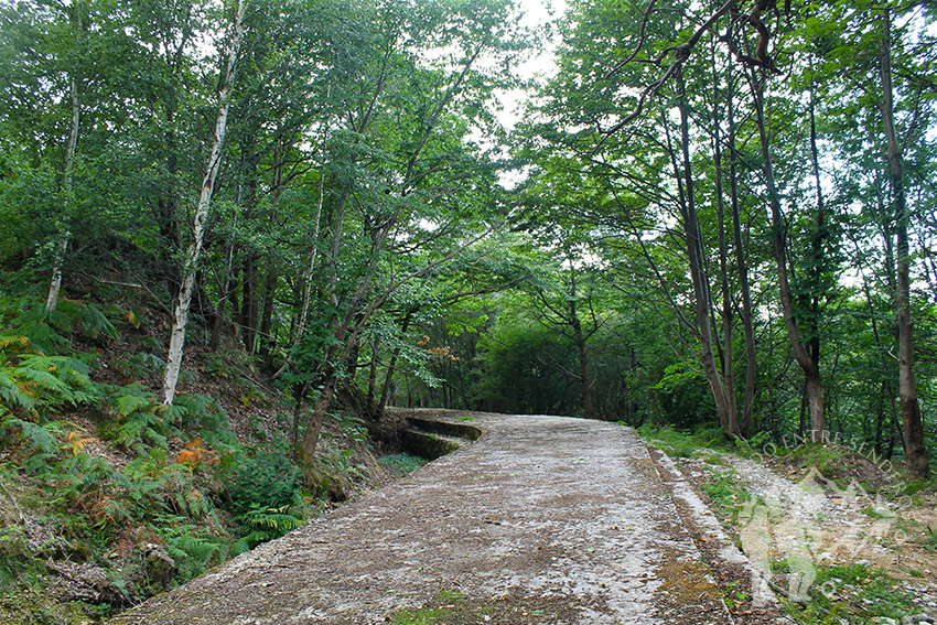Senda Caoru (Arenas de Cabrales)