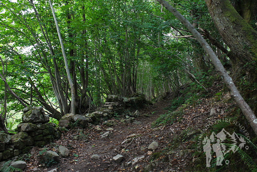 Senda Caoru (Arenas de Cabrales)