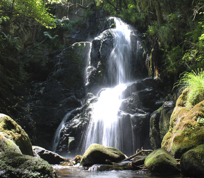 Catarata de Férveda (Silleda)