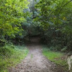 Parque Natural Bosque dos Veciños