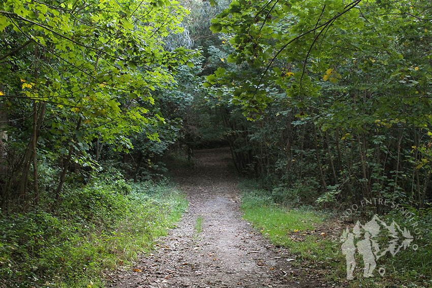 Parque Natural Bosque dos Veciños