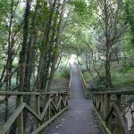 Pasarela Parque Natural Bosque dos Veciños