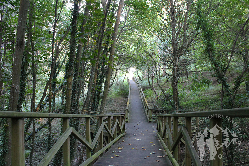 Pasarela Parque Natural Bosque dos Veciños