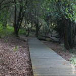 Pasarela Parque Natural Bosque dos Veciños