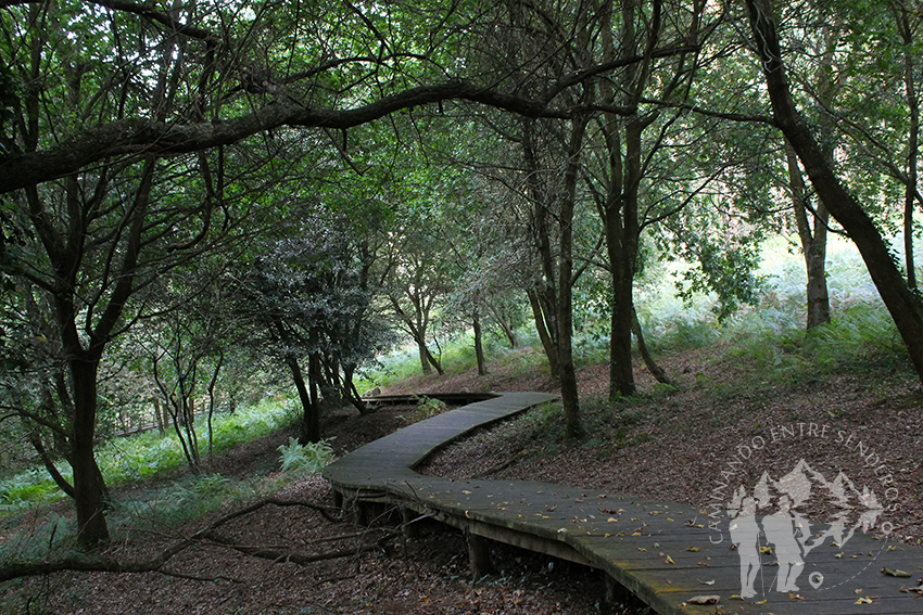 Pasarela Parque Natural Bosque dos Veciños