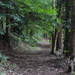 Parque Natural Bosque dos Veciños