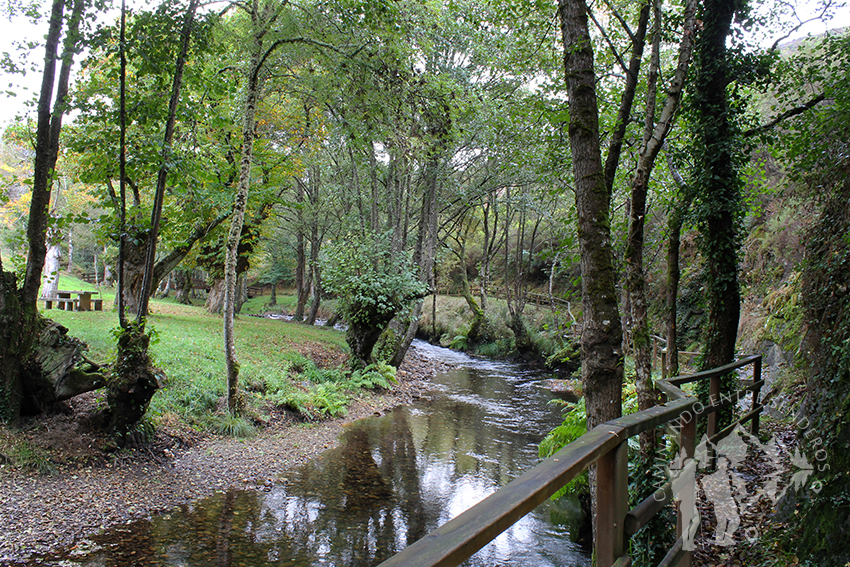 Área recreativa da Cortevella