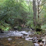 Orillas del Río Eo