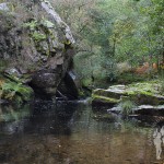 Orillas del Río Eo