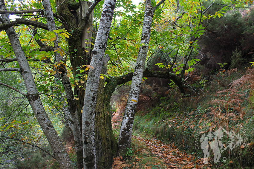 Orillas del Río Eo