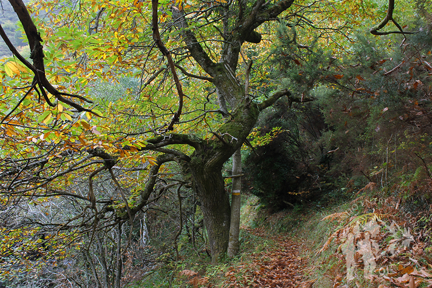 Orillas del Río Eo