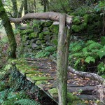 Puente rústico de madera