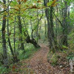 De camino a Cabreira