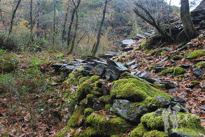 Entrada Pozo das Mulas, Pontón e Arandainas (Caurel)