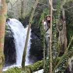 Catarata