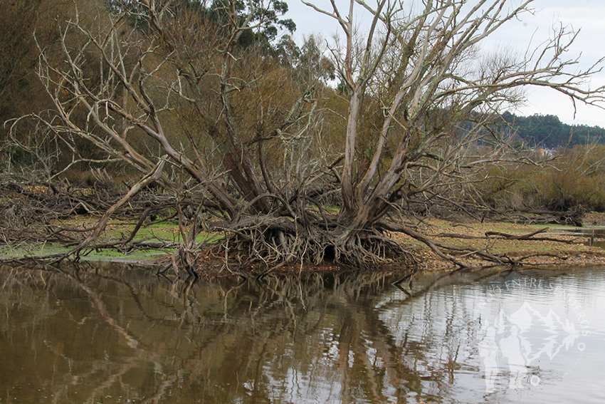 Reflejo en el embalse