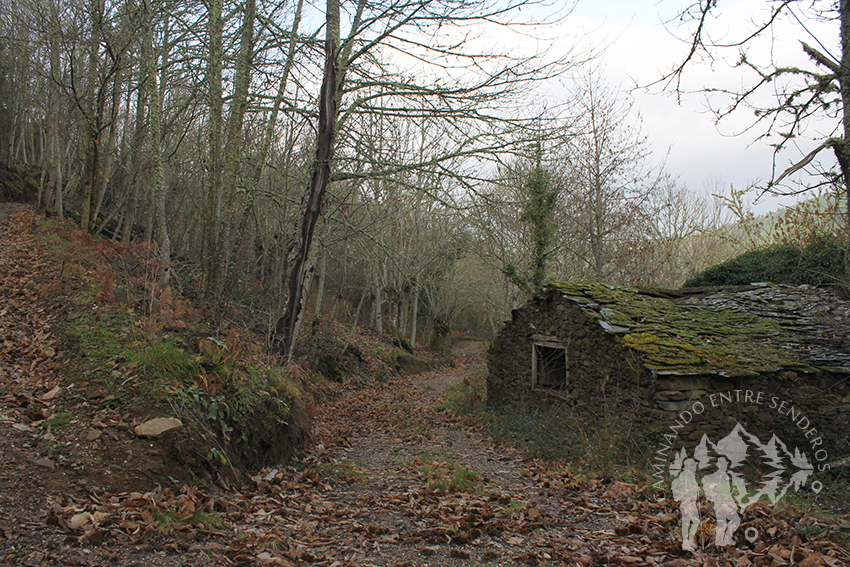 Camiño de Inverno