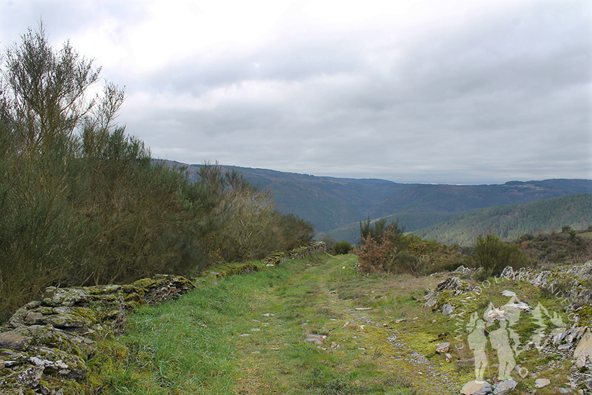 Pena Tallada