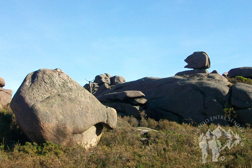 Piedra con forma de cerdo y anfibio gungano del planeta Naboo