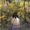 Ruta dos Encomendeiros