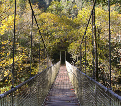 Ruta dos Encomendeiros