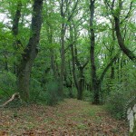 Fraga de Catasós