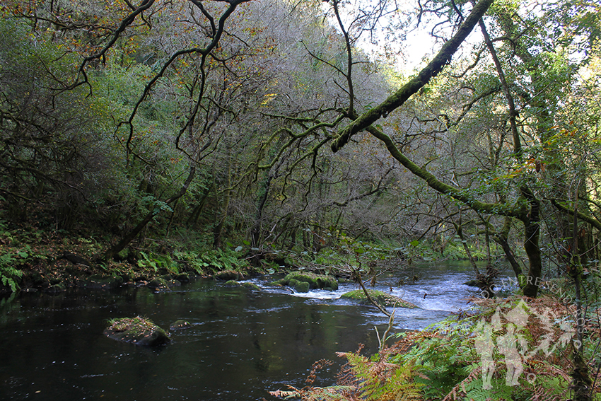 Río Mandeo