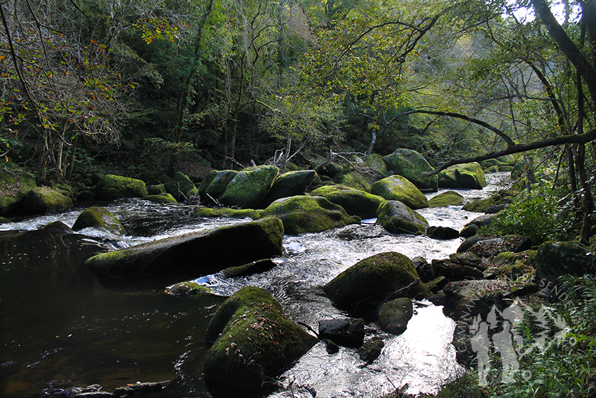 Presa da Cabra