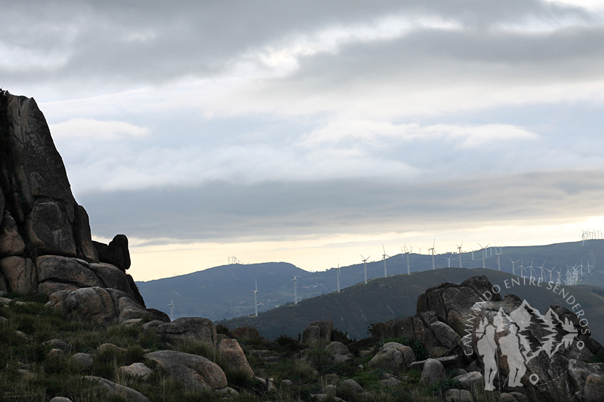 Molinos de viento