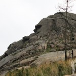 Piedra con forma de cabeza