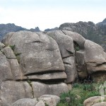 Piedra con forma de cabezas