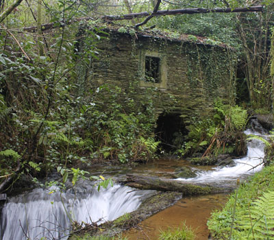 Ruta do Río Aceiteiro (San Sadurniño)