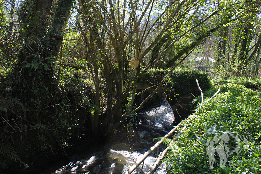 Puente Muiños de Teixeiro