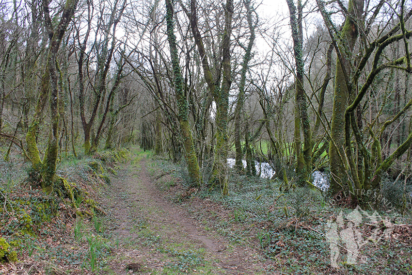 Orillas de río Dubra