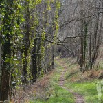 Camino a Vilarbó