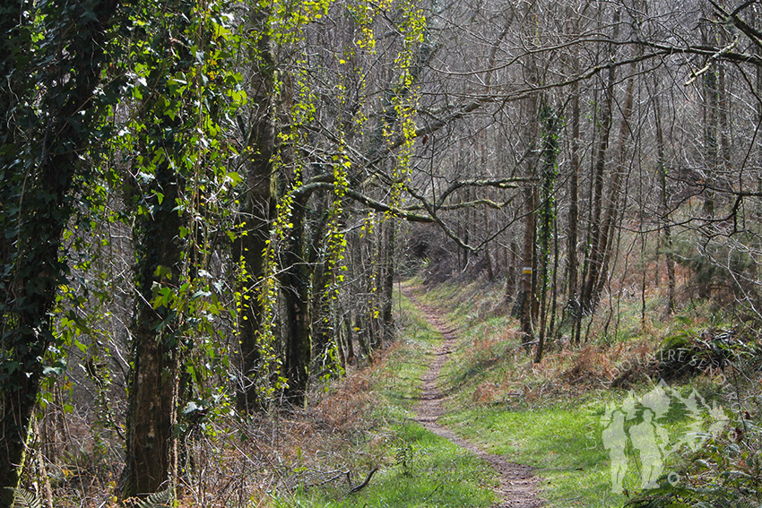 Camino a Vilarbó