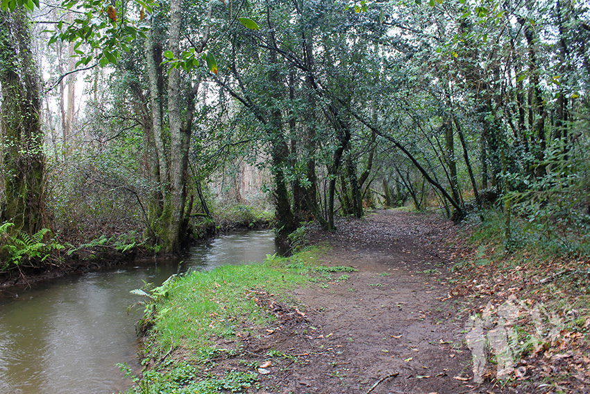 Río Aceiteiro (San Sadurniño)