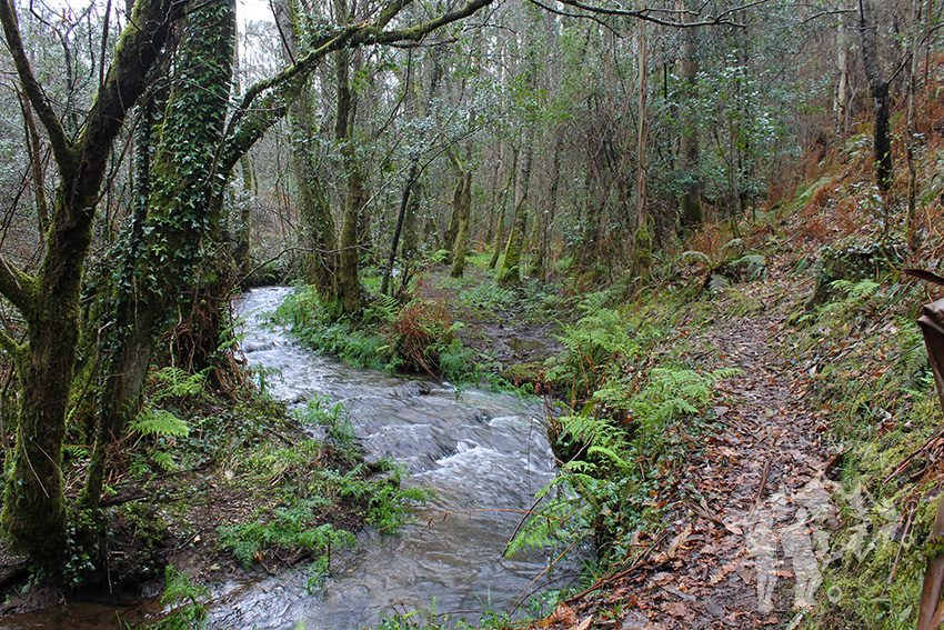 Río Aceiteiro (San Sadurniño)