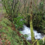 Río Aceiteiro (San Sadurniño)