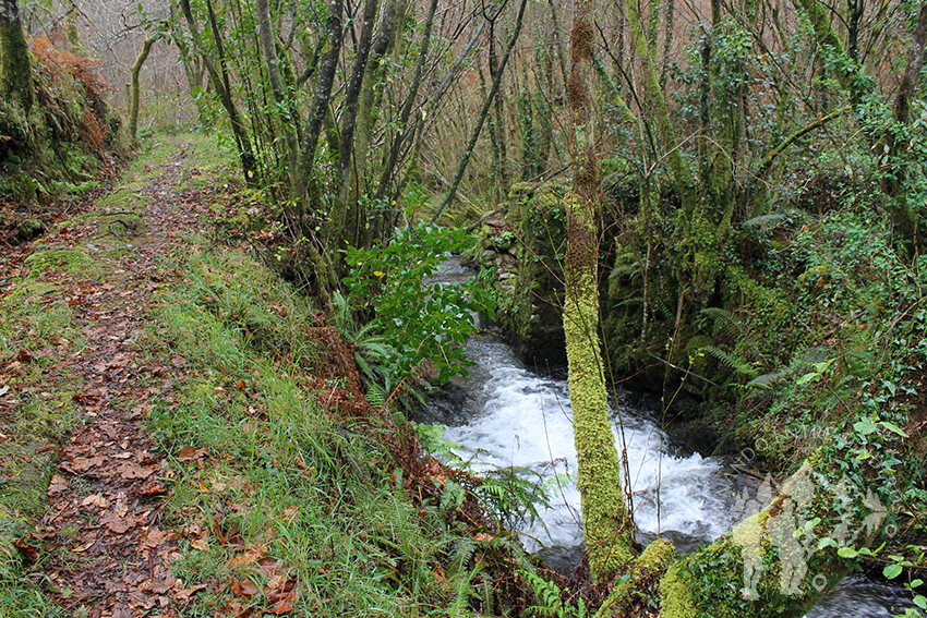 Río Aceiteiro (San Sadurniño)