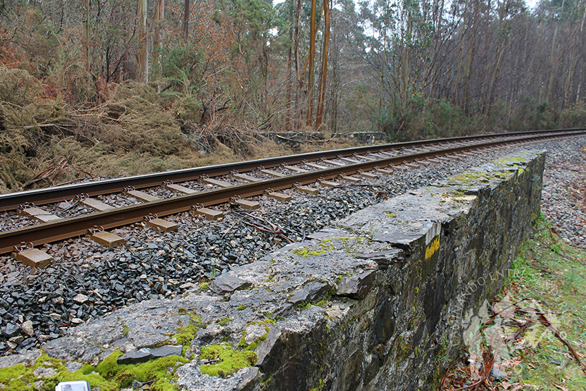Vía del tren