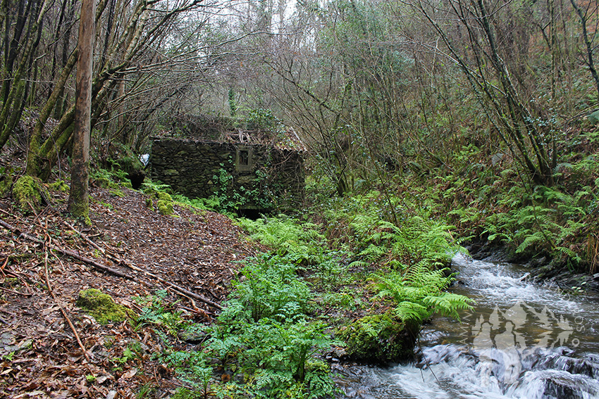 Último molino